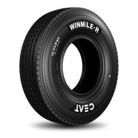 CEAT WINMILE - R